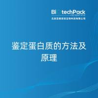 鉴定蛋白质的方法及原理