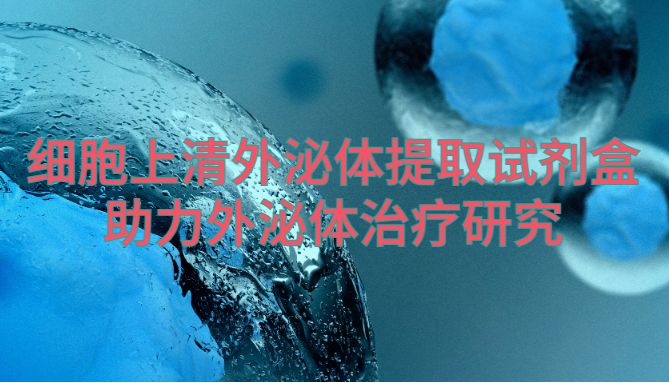 IF=7.3| Umibio细胞上清外泌体提取试剂盒（UR52121）助力客户外泌体治疗研究！