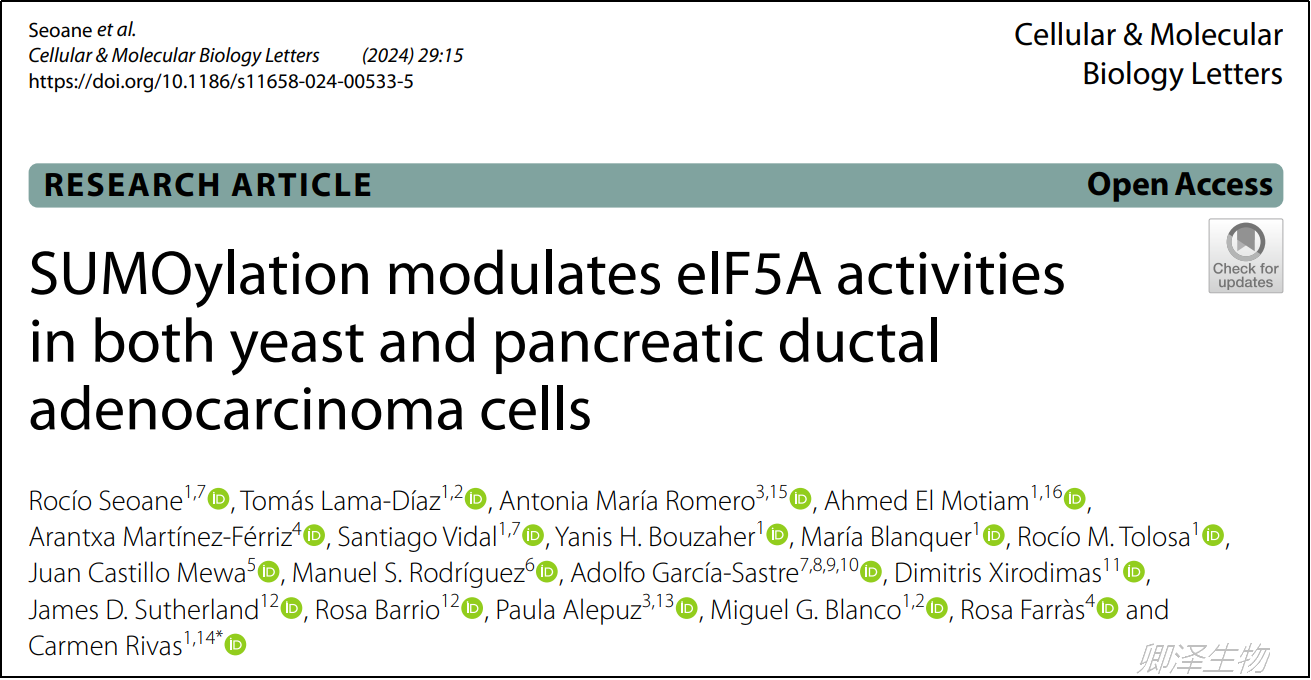 Cell Mol Biol Lett.  | Polysome技术助力揭示SUMO化修饰对eIF5A活性的影响