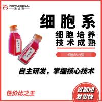 MIN6 小鼠胰岛B细胞