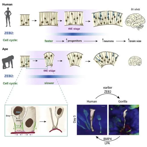 技术资料图片17