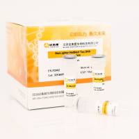 StarLighter 热启动 Taq DNA 聚合酶