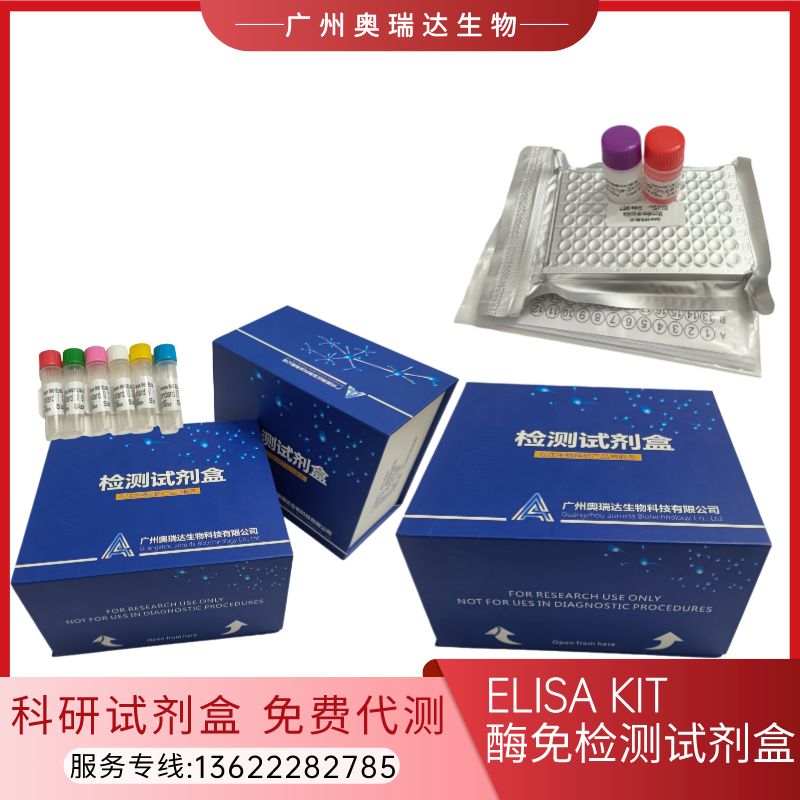 大鼠内皮抑素（ES）ELISA检测试剂盒