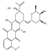 Daunorubicin HCl
