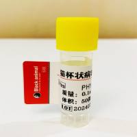 500μg 猫杯状病毒（FCV）单克隆抗体；猫杯状病毒抗体；猫FCV抗体；猫杯状抗体