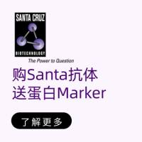 买二赠二，购Santa抗体送蛋白Marker