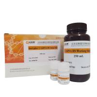 StarLighter 高灵敏探针法 qPCR试剂盒（通用型）