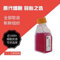 人胃平滑肌细胞