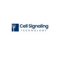 Cell Signaling Technology(CST)抗体代理