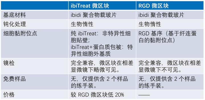 ibidi μ-Pattern 细胞微区块培养初探