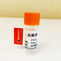 500μg 百菌清单克隆抗体；Chlorothalonil（CTL）抗体；百菌清抗体；CTL抗体