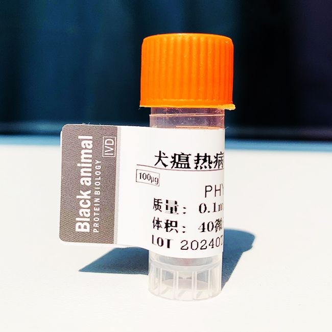 500μg 抗犬瘟热单克隆抗体；犬瘟病毒抗体；CDV抗体