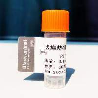 500μg 抗犬瘟热（CDV）单克隆抗体;犬瘟热抗体；犬CDV抗体