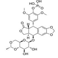 Etoposide phosphate