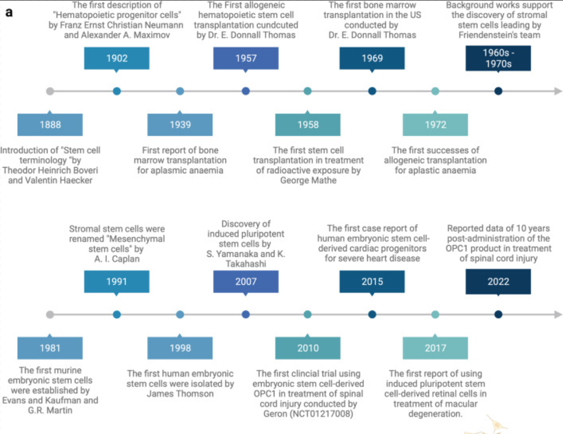 一文带你了解干细胞培养全流程
