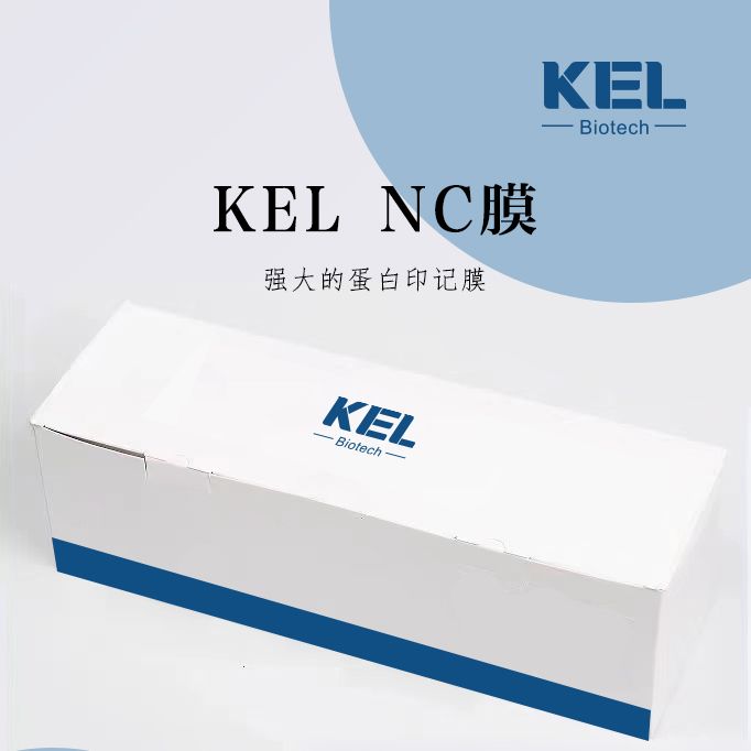 0.45μm,NC转印膜 300*3000mm