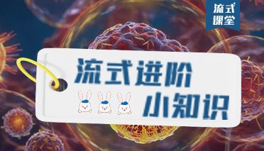 免疫细胞 | T细胞分选大揭秘：荧光激活细胞分选与磁激活细胞分选