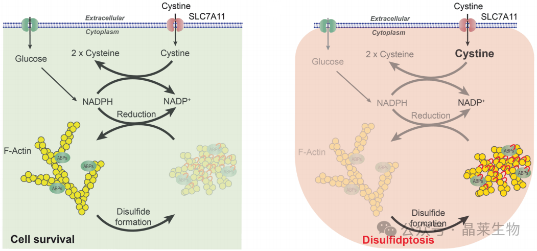 1728898091495144.png 640_wx_fmt=png&from=appmsg (1).png