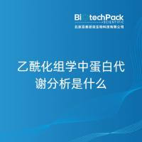 乙酰化组学中蛋白代谢分析是什么
