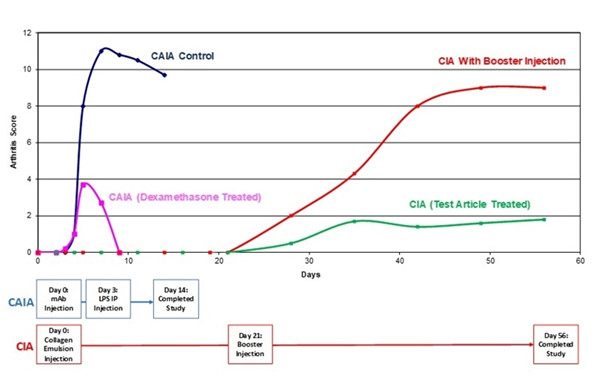  Chondrex/艾美捷Arthrogen CIA 5-Clone鸡尾酒试剂盒销中