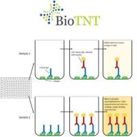 ELISA包被经济套餐