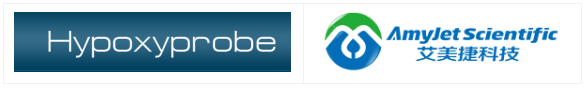 Hypoxyprobe/艾美捷低氧探针Omni试剂盒促销中