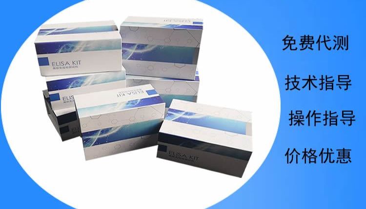 ELISA实验心得分享