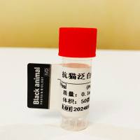 500μg 抗猫泛白细胞减少症(RLN)单克隆抗体；猫泛白细胞减少症抗体；猫RLN抗体；猫细胞减少症抗体