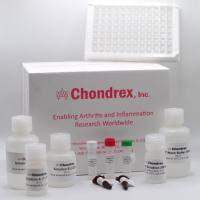 人抗酵母提取物IgG抗体检测试剂盒-Human Anti-Yeast Extract IgG Antibody Assay Kit