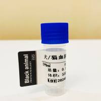 500μg 犬血清淀粉样蛋白A抗体；猫血清淀粉样蛋白A抗体；SAA抗体