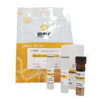 StarLighter dsDNA 宽范围检测试剂盒