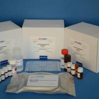 豚鼠5羟吲哚乙酸(5-HIAA)ELISA试剂盒