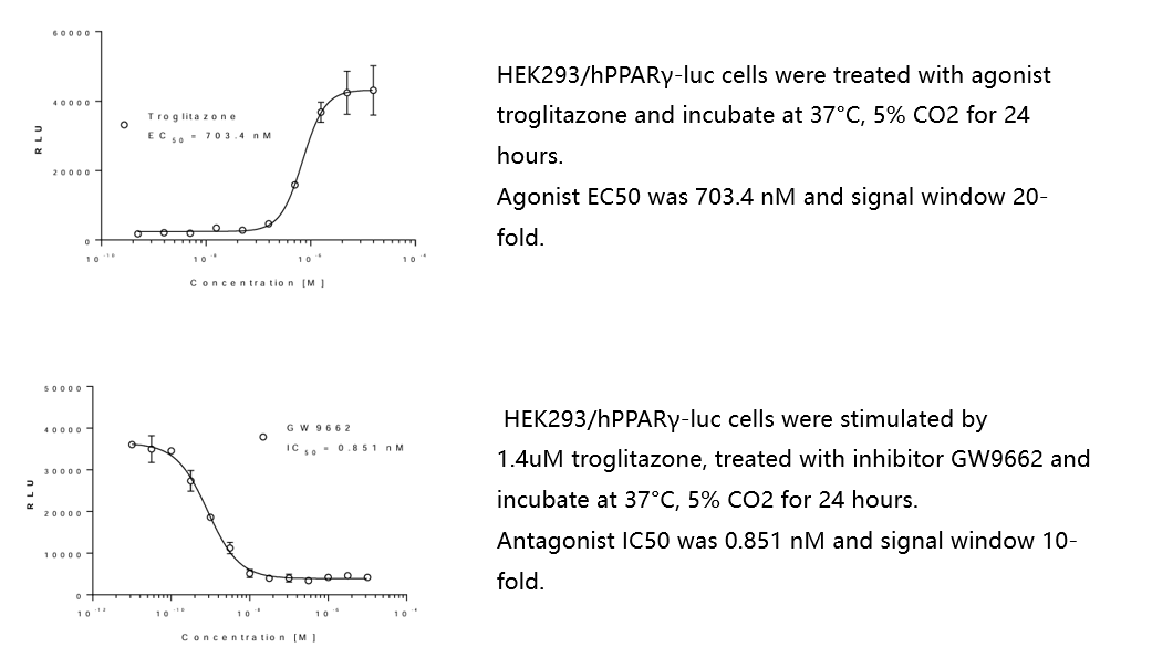 PPAR-γ:脂质代谢的关键调节者