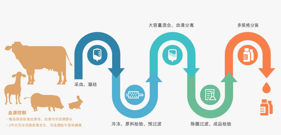 干货|Abbkine胎牛血清，细胞培养实验的完美伴侣