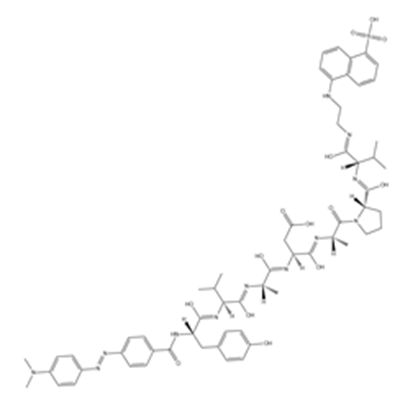 Dabcyl-YVADAPV-EDANS