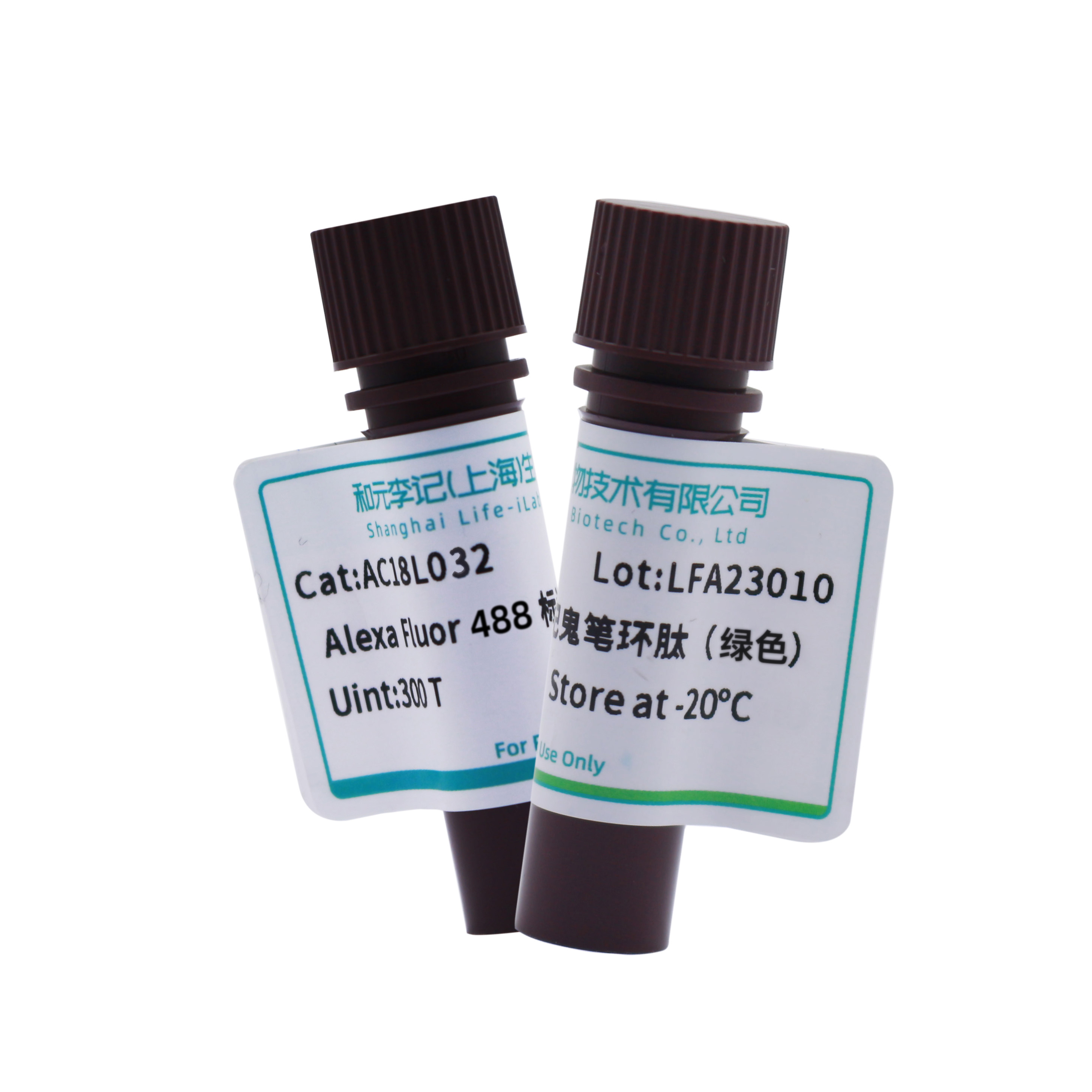 鬼笔环肽染色原理（Alexa Fluor 488 标记鬼笔环肽使用方法）