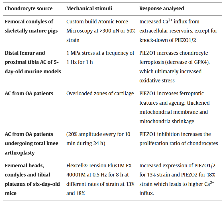 软骨细胞生化介质与机械转导之间的相互作用：揭示原发性膝关节骨关节炎中的差异反应