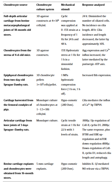 软骨细胞生化介质与机械转导之间的相互作用：揭示原发性膝关节骨关节炎中的差异反应