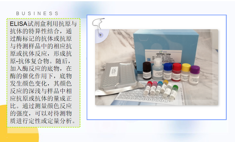 ELISA试剂盒2.png ELISA试剂盒2.png