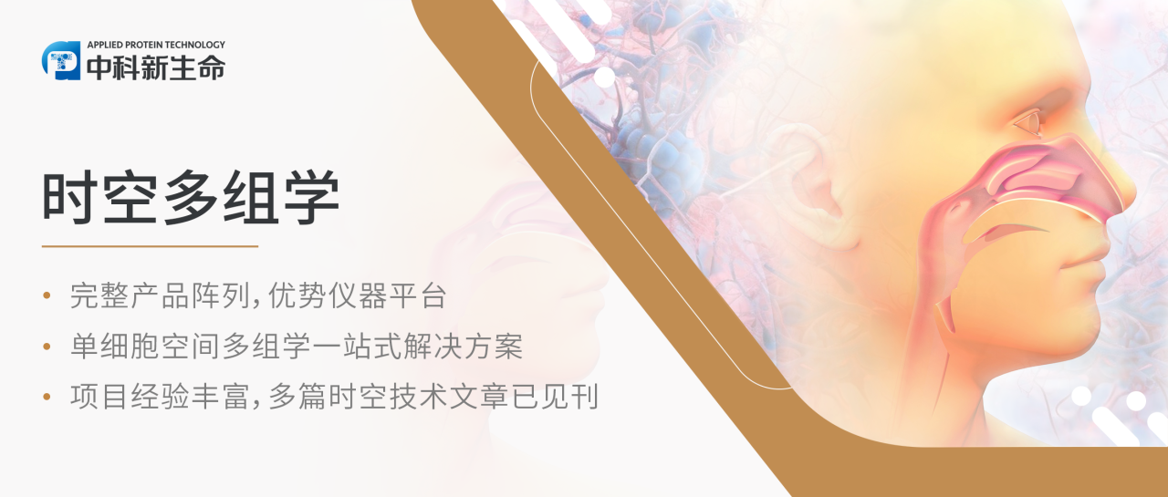 Nat Commun | 中山大学揭秘“隐匿杀手”鼻咽癌TLS关键成分，双重提升患者预后与免疫治疗响应！