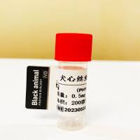 500μg 犬心丝虫(HMs)单克隆抗体;犬心丝虫配对抗体;犬HMs抗体;