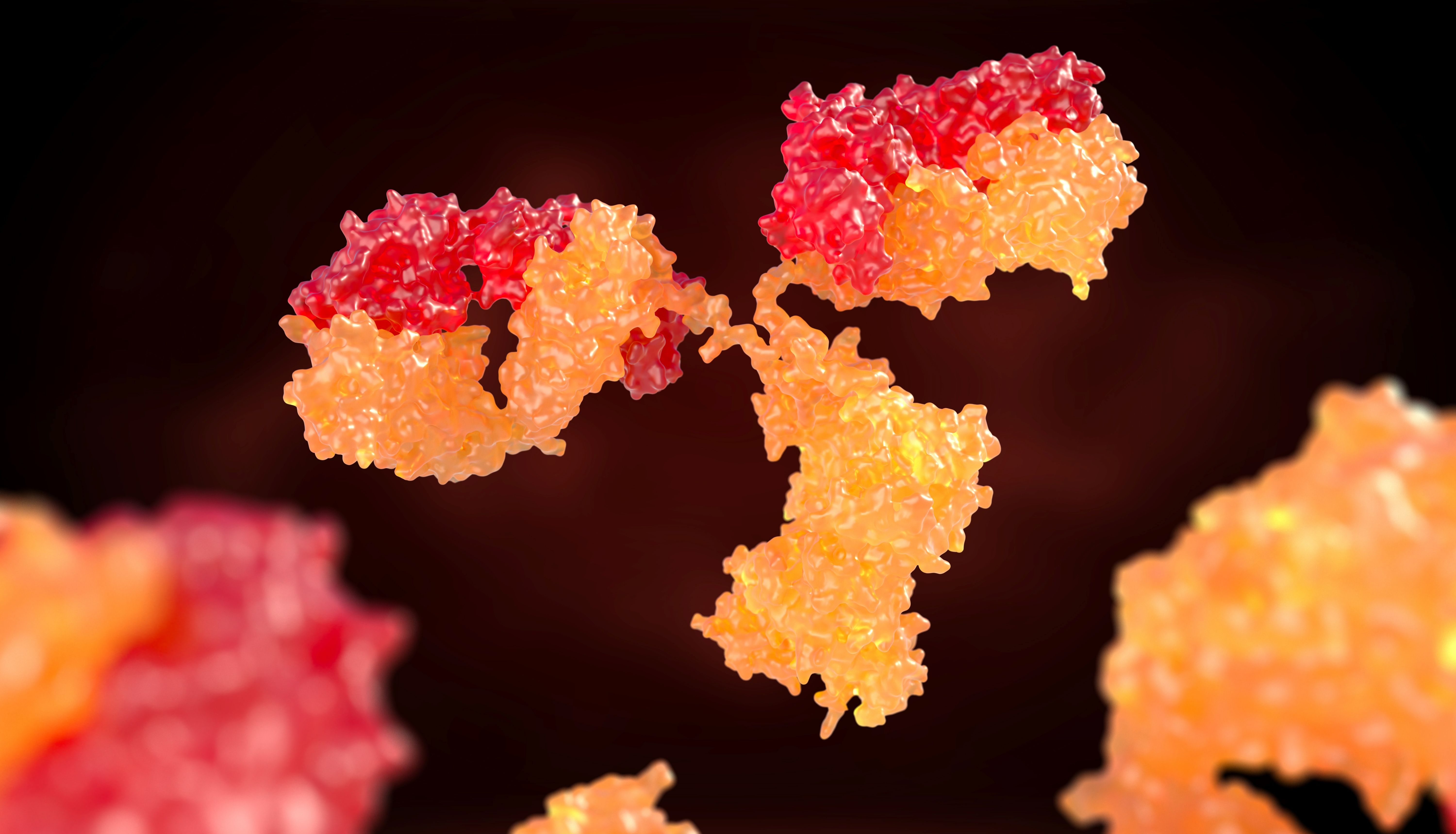 单克隆抗体开发技术有哪些？