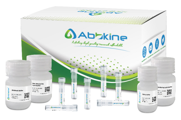 IP实验的榜首---磁珠