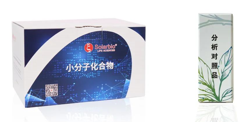 新闻图片5