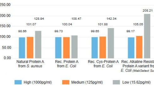 什么造就了高品质的Protein A ELISA试剂盒？