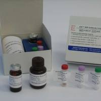 豚鼠5羟吲哚乙酸(5-HIAA)ELISA试剂盒