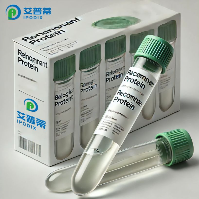 VP24蛋白,VP24重组蛋白;Human VP24 protein