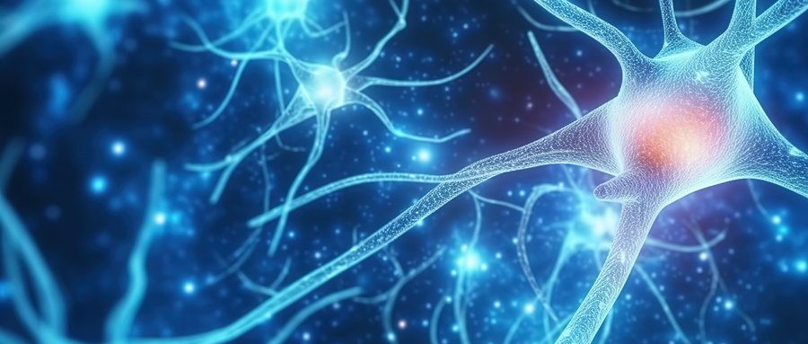 神经丝轻链蛋白（NF-light）检测试剂盒