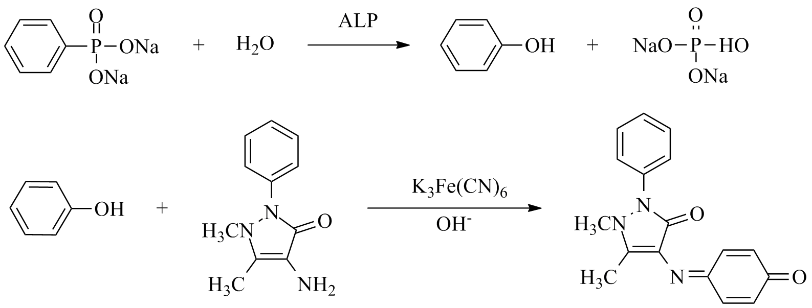 碱性磷酸酶(ALP)测试盒-比色法 | Alkaline P
