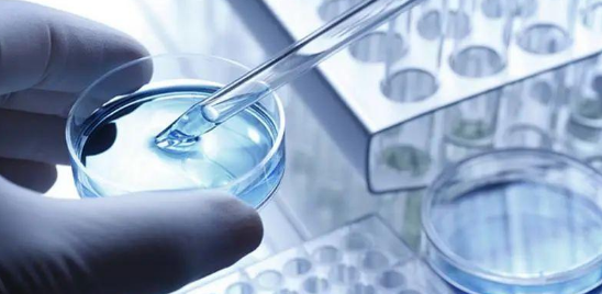 不同类型的细胞培养基概述